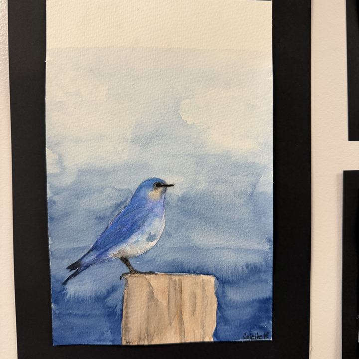 Watercolor bluebird painted by a student